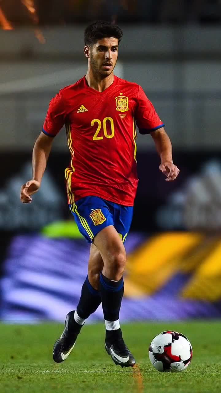 乒乓球：樊振东夺德国杯冠军